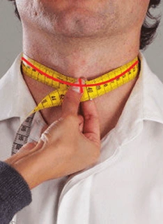 Neck